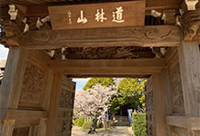 横蔵寺について